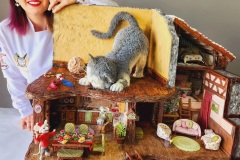 IMG-20240216-WA0003
